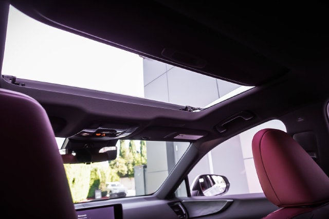 2023 Lexus NX 450h+ Luxury