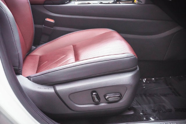 2023 Lexus NX 450h+ Luxury
