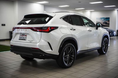 2025 Lexus NX 450h+ Luxury