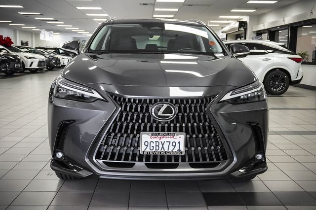 2024 Lexus NX 450h+ Luxury