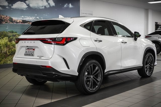2024 Lexus NX 450h+ Luxury
