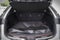 2024 Lexus NX 450h+ F SPORT