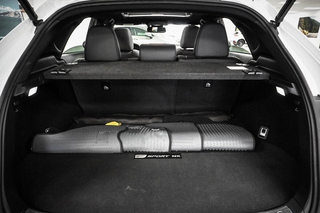 2021 Lexus NX 300 F Sport