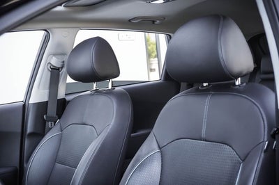 2019 Kia Niro EV EX Premium