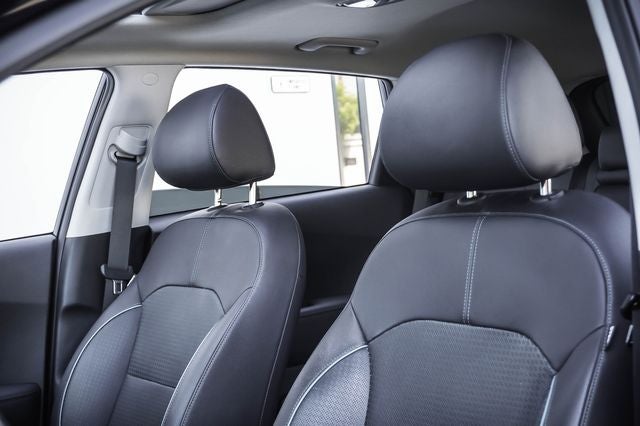 2019 Kia Niro EV EX Premium