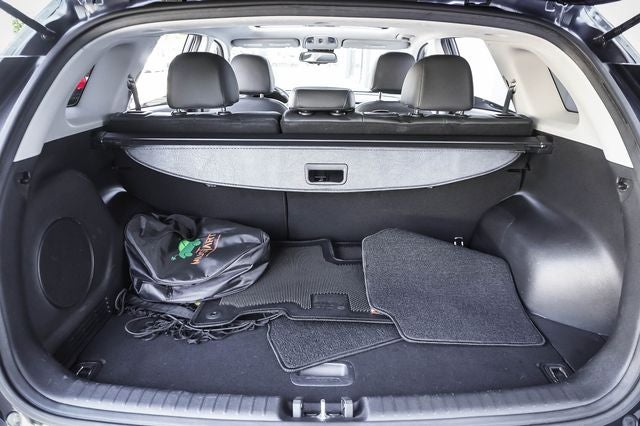 2019 Kia Niro EV EX Premium