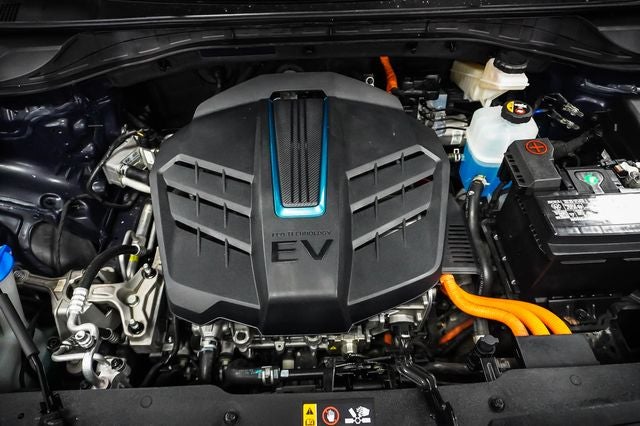 2019 Kia Niro EV EX Premium