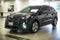 2019 Kia Niro EV EX Premium