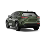 2026 Lexus NX 350 PREMIUM AWD